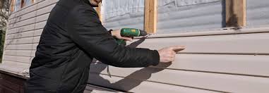 Best Insulated Siding Installation  in Rineyville, KY